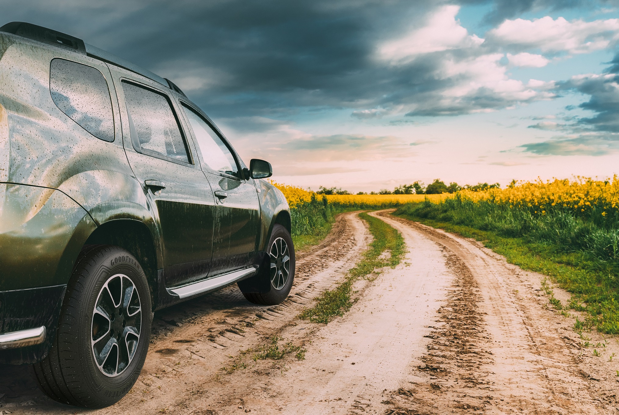 Car,Renault,Duster,Or,Dacia,Duster,Suv,In,Summer,Rapeseed