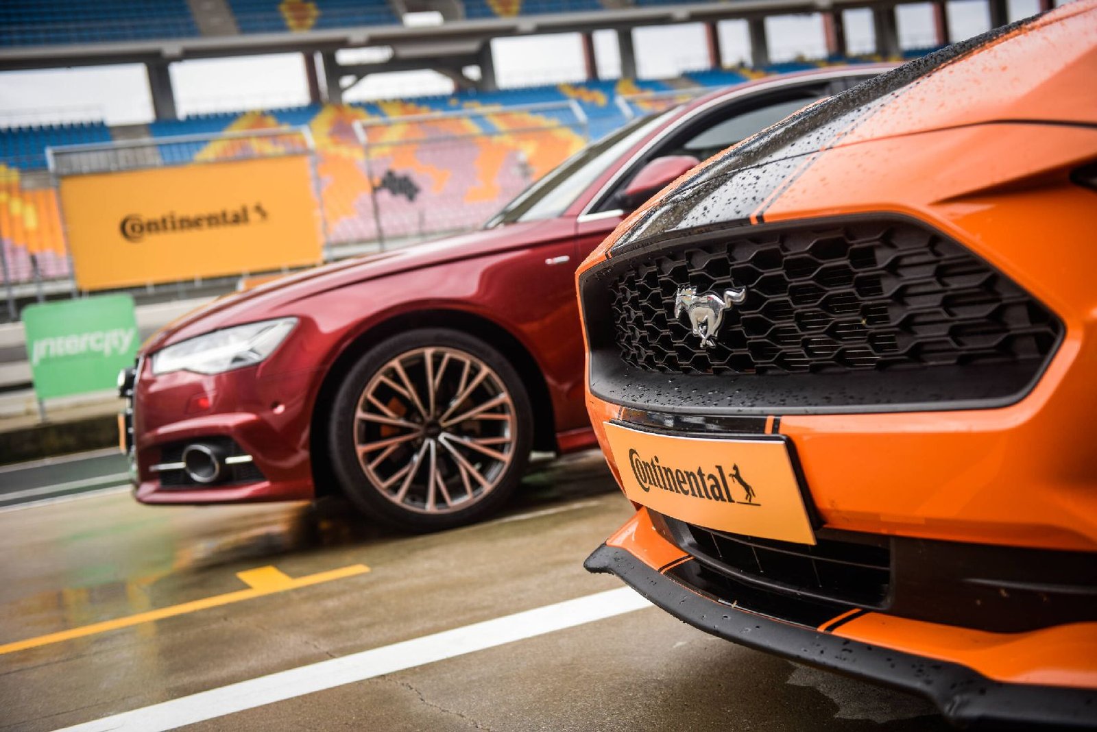 Continental Bayileri İstanbul'da Bir Araya Geldi!