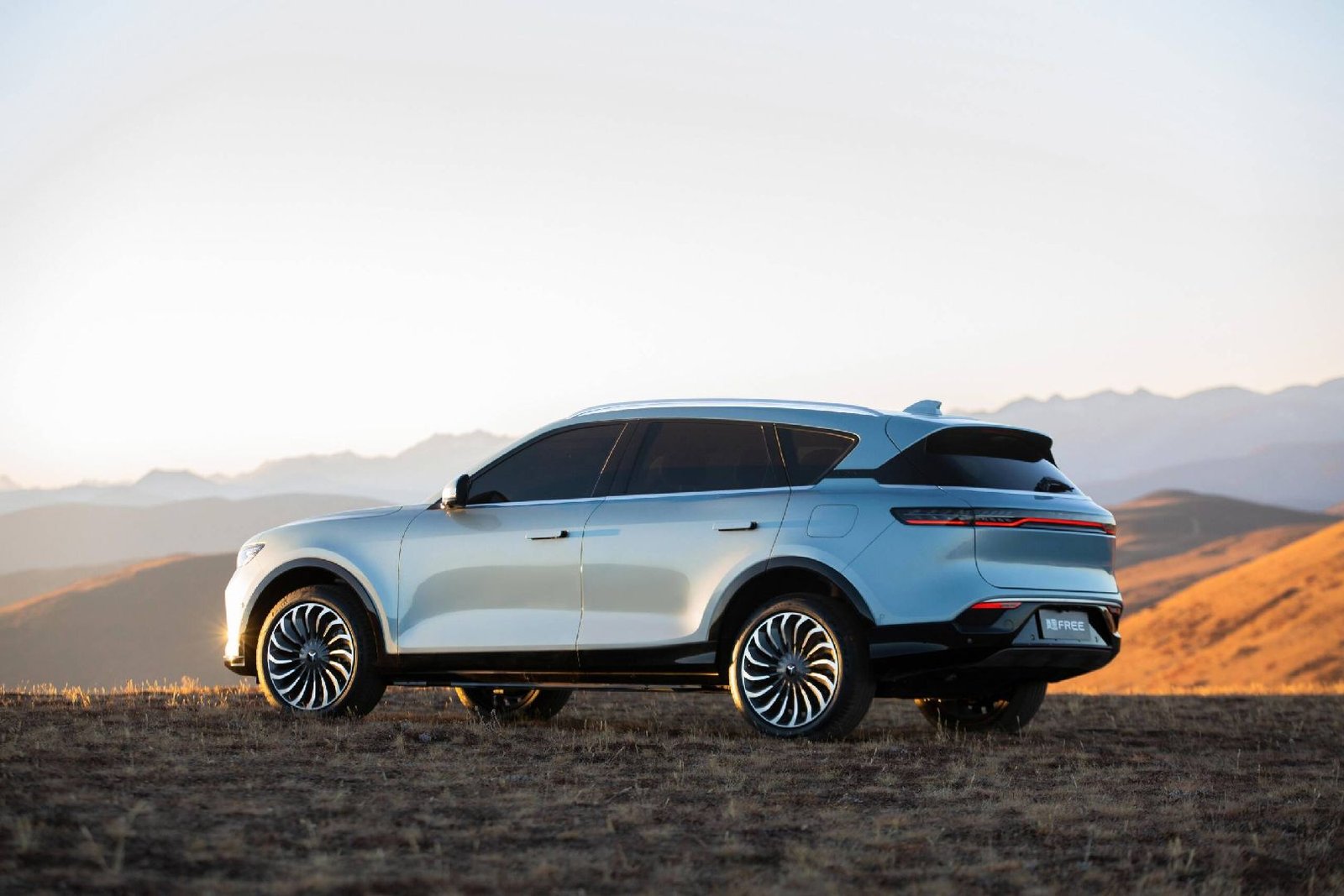 “Geri Alım Garantisi”